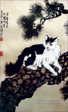 Gato Xu Beihong en un árbol chino antiguo Pinturas al óleo
